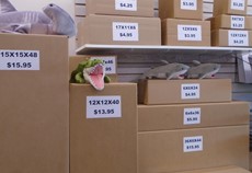 Shipping boxes 